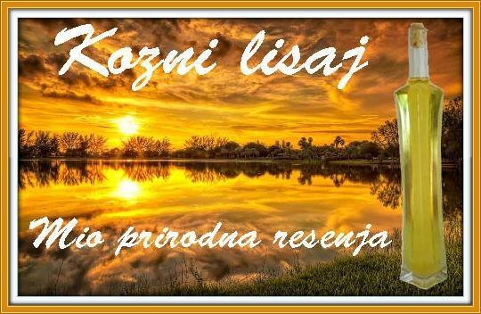 Kozni Lisaj