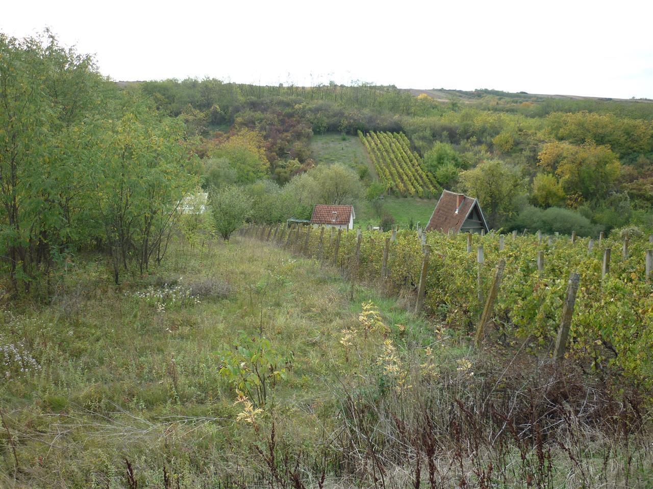 Zeleznik-15a