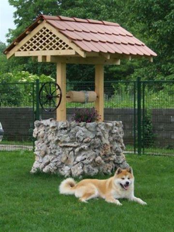 Akita-inu-stene