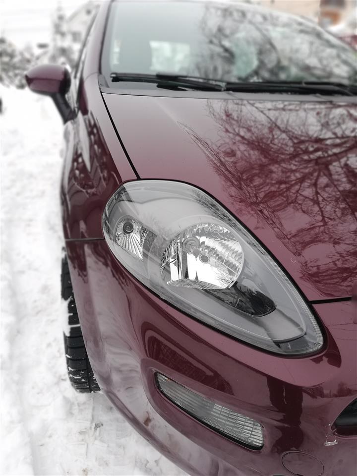 Fiat-Punto-Evo-1-4