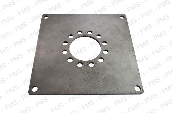 diaphragm / diafragma