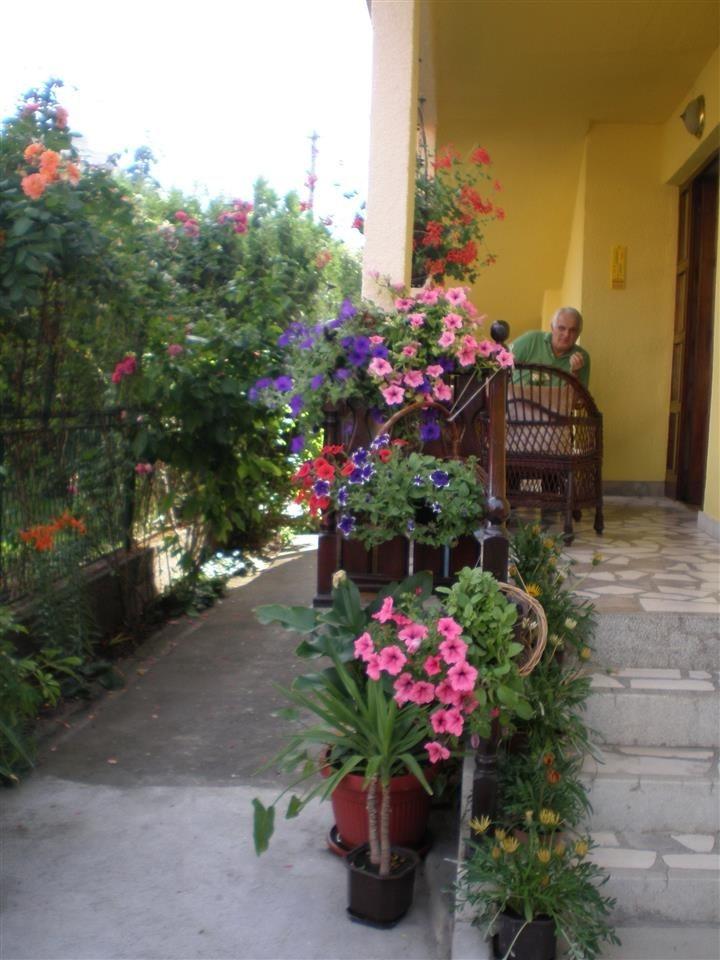 prodaja-kuce-u-Kraljevu