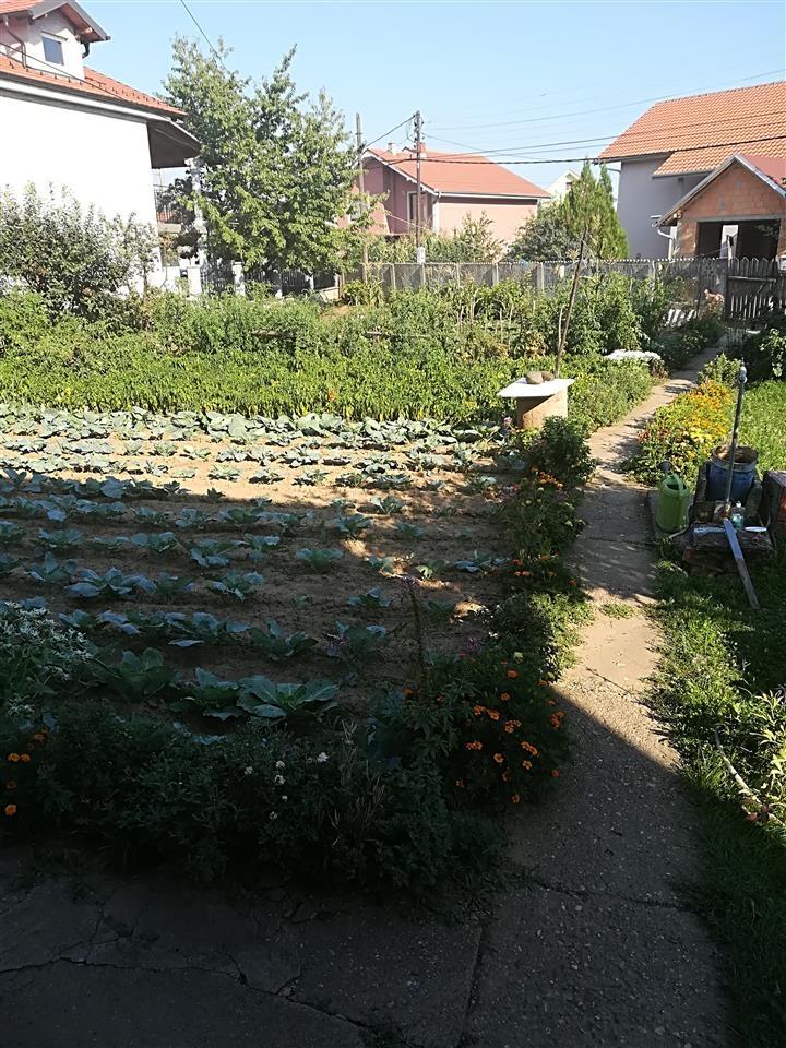 Kucu-i-plac