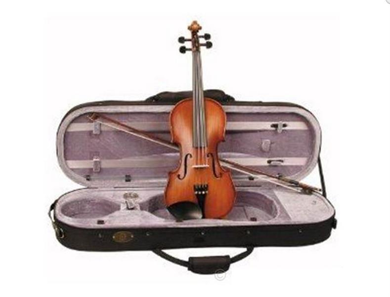 J-Michael-4-4-violina