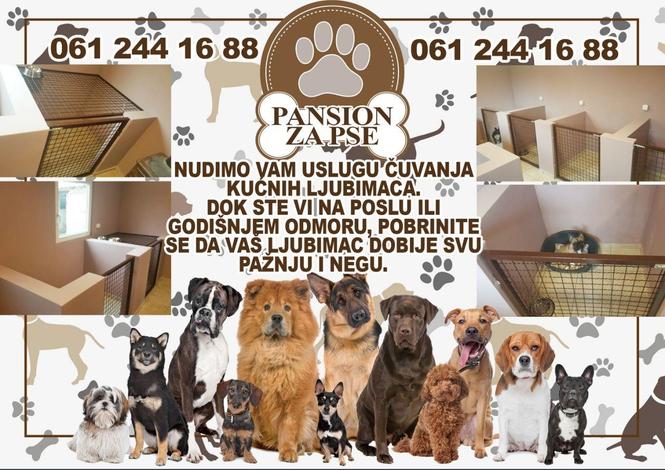 Pansion za pse