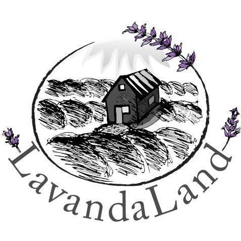 Sadnice lavande
