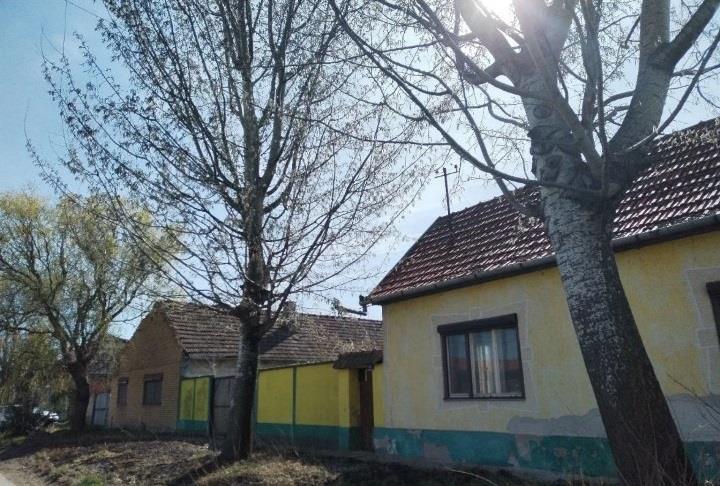 Prodajem-imanje-Subotica-Cantavir