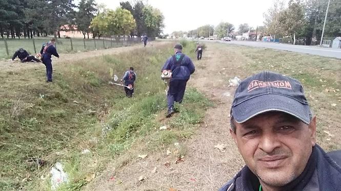 Odrzavanje zelenila