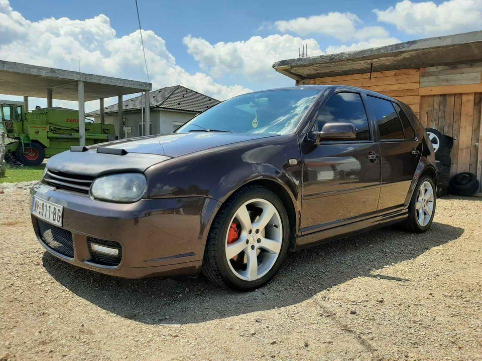 Golf-4