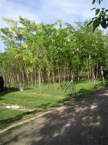 Umka-Pecani-plac