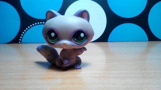 Litylest pet shop rakun