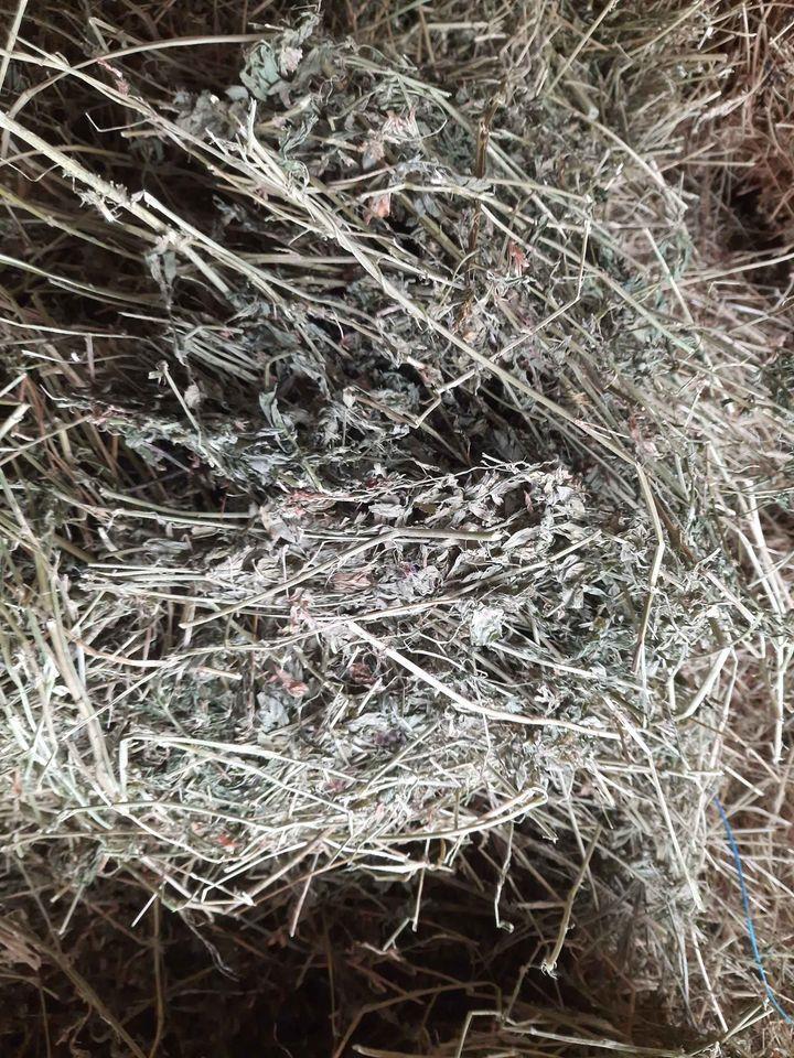 Bale-lucerke-0643059430