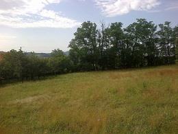 Plac-od-6000m2-Kosmaj