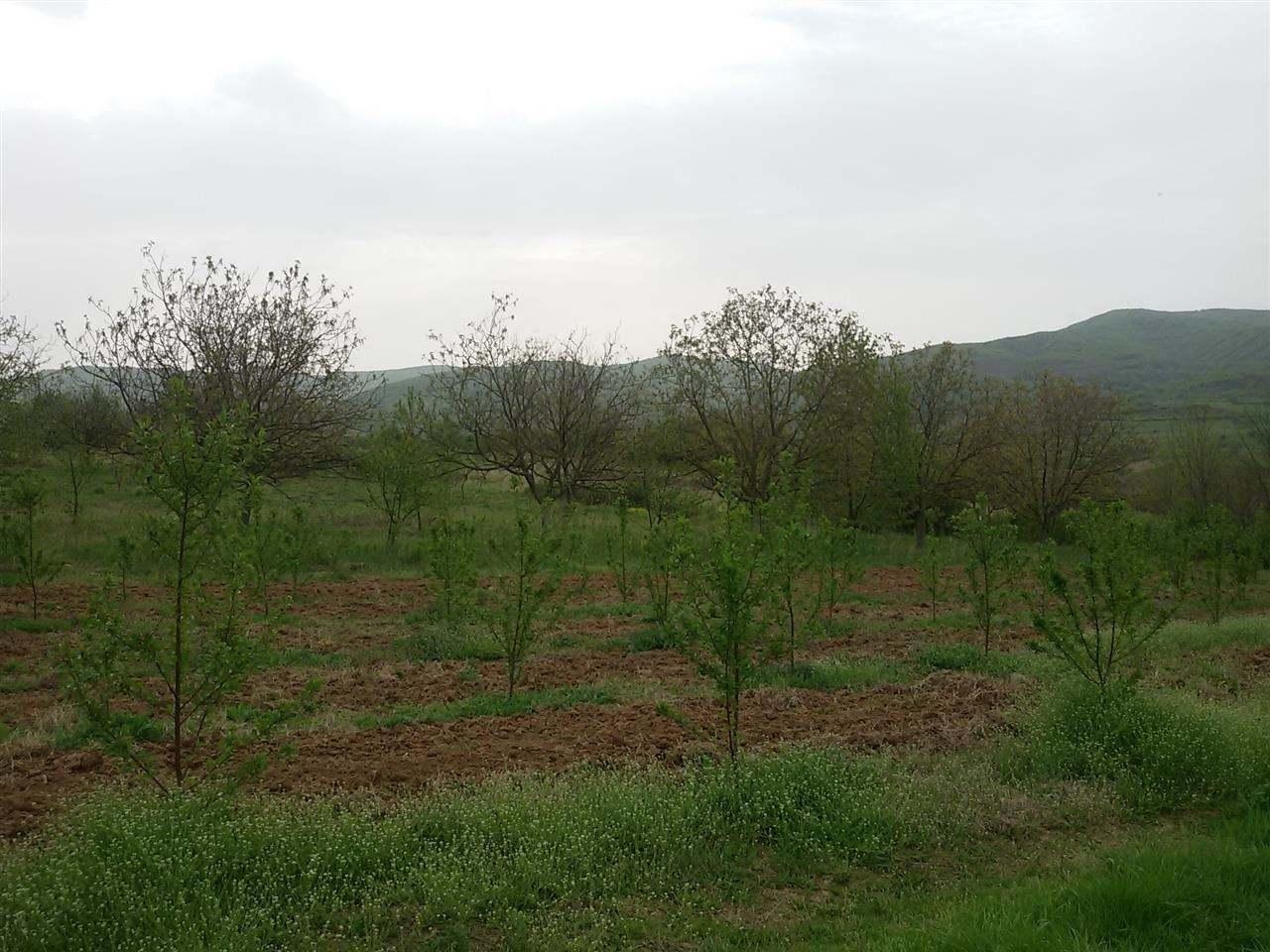 Prodajem