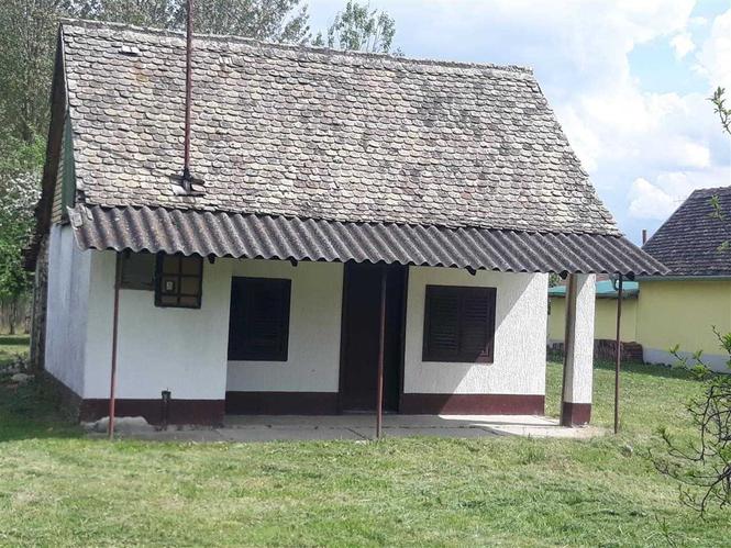 Prodajem vikendicu sa topolovom šumom