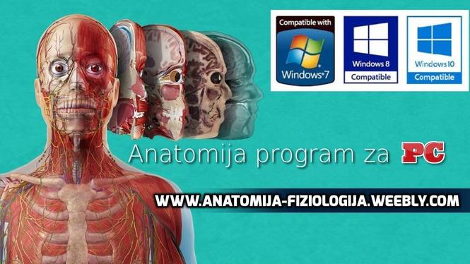 ANATOMIJA ZA PC