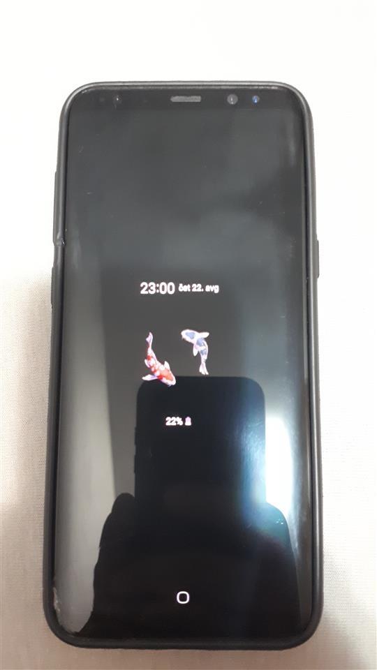 Samsung-S8+