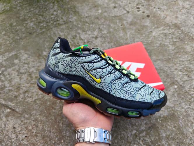 Nike Air Max Plus TN Fresh Perspective