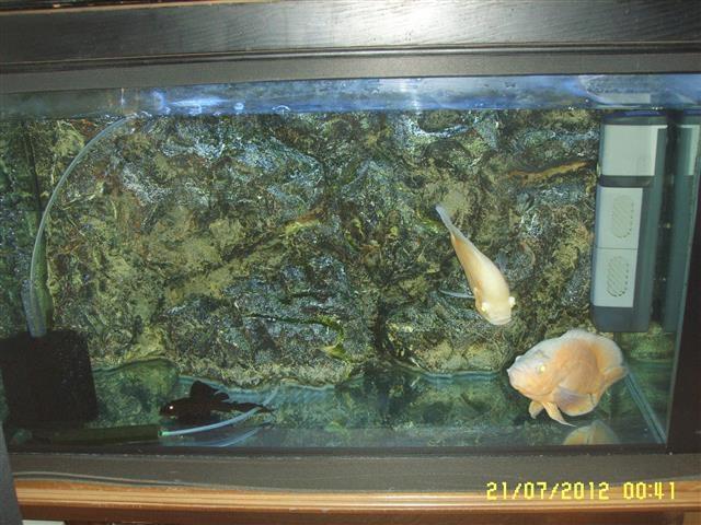 Akvarijum-kompletan