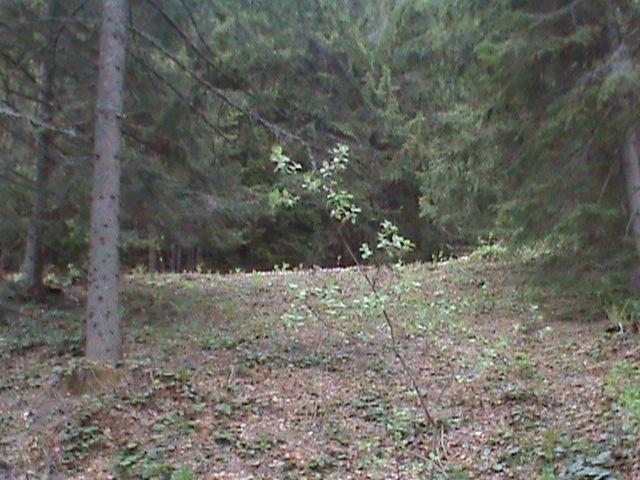 Sumu-5000m2