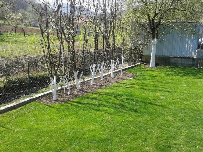 Kuća Vrnjačka Banja
