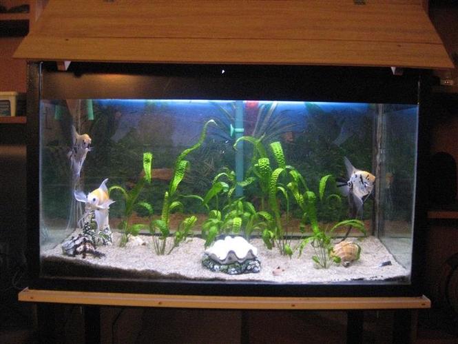 akvarijum 300lit