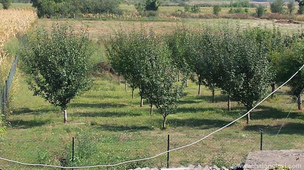 Prodaja-placeva