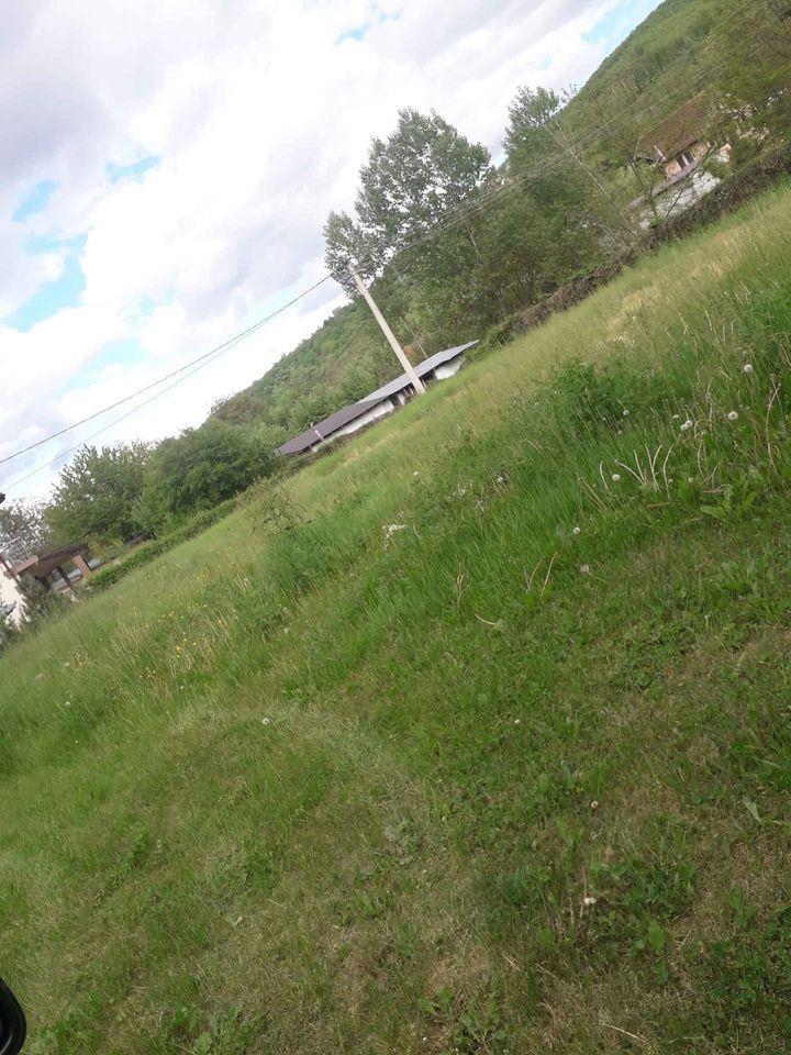 Odrzavanje-basti-avlija