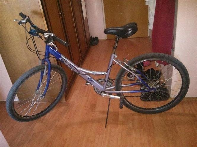 Bicikla ALPINA