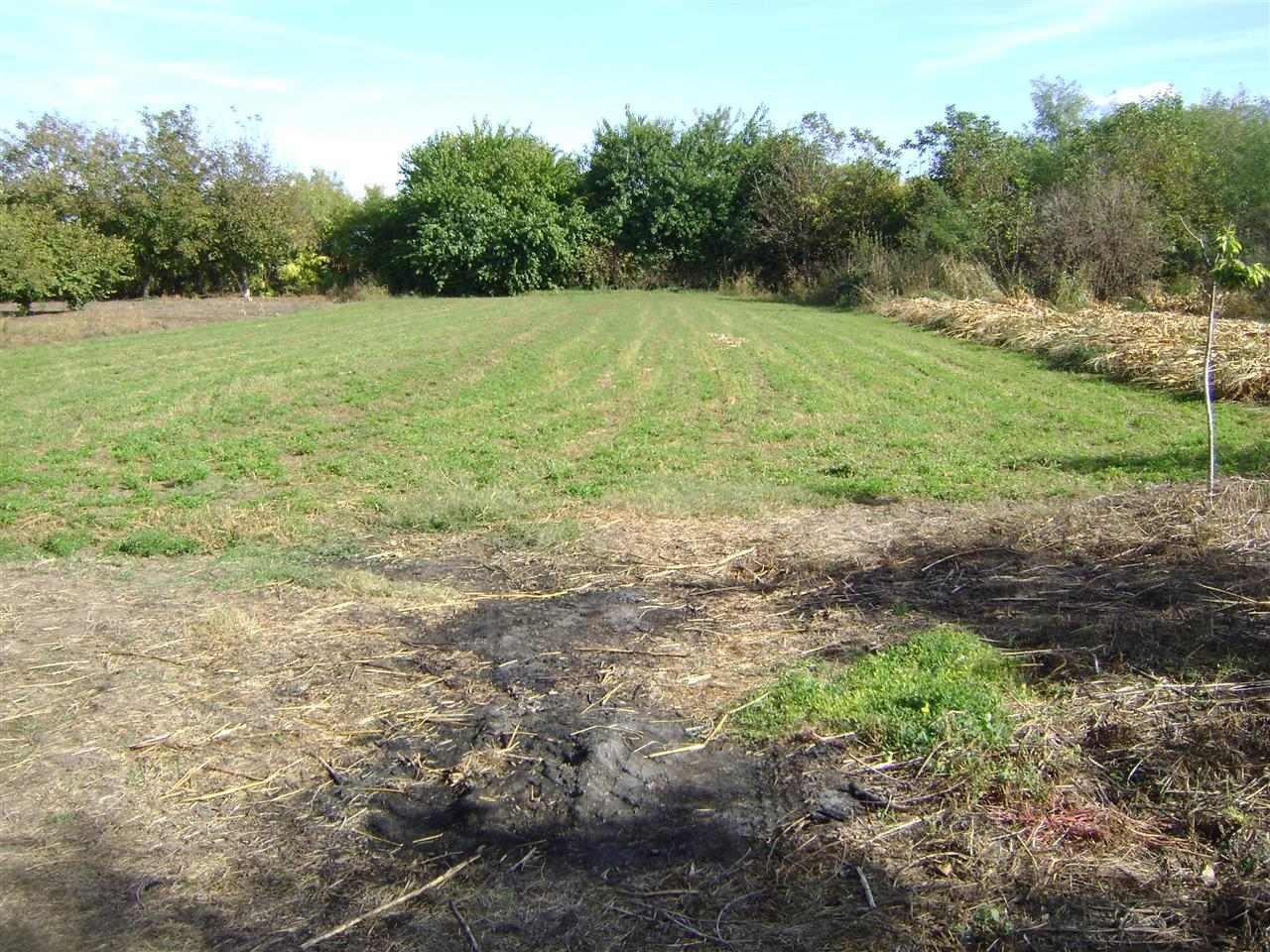 Porodična-kuća