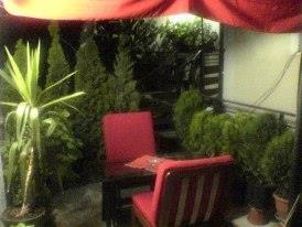 Apartman Ohrid