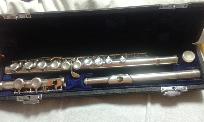 Muzicki instrument - flauta
