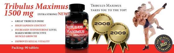 TRIBULUS-MAXIMUS