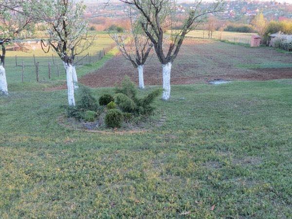 Gradjevinski-plac-kod-Obrenovca