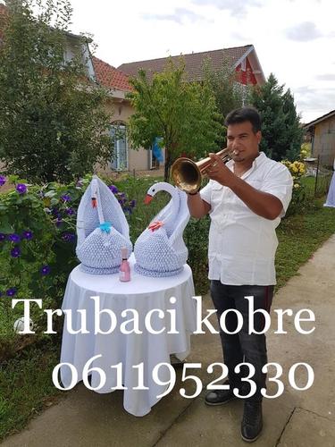 Trubaci kragujevac 