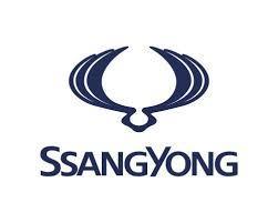Servis i delovi za SsangYong