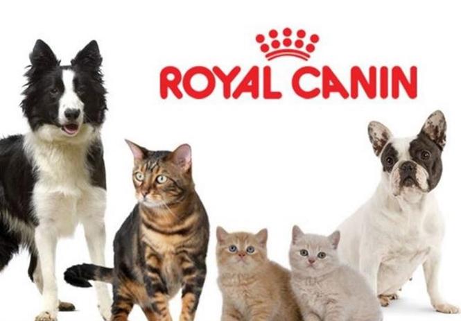 Royal Canin