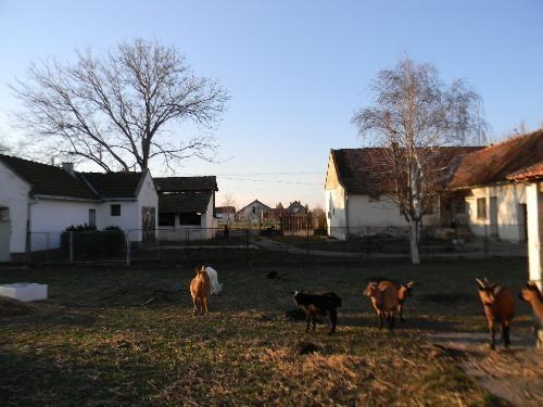 Kuća-na-imanju-od-30ari
