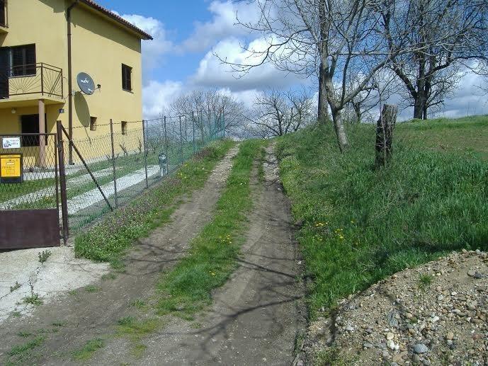 Plac--Mislodjin--Obrenovac-
