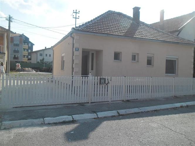 Kuce u centru Lazarevca