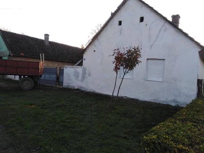 Kuca u zablju