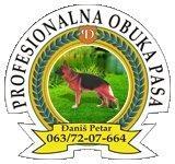 Obuka pasa 