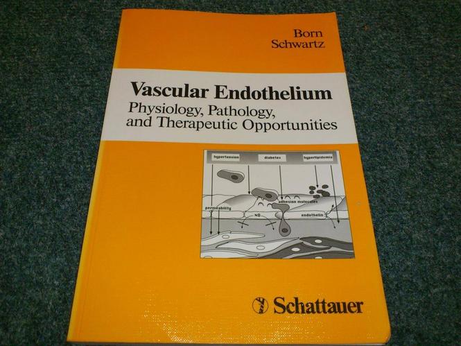 Vascular Endothelium Physiology Pathology