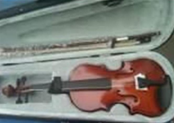 Stagg violina 3/4