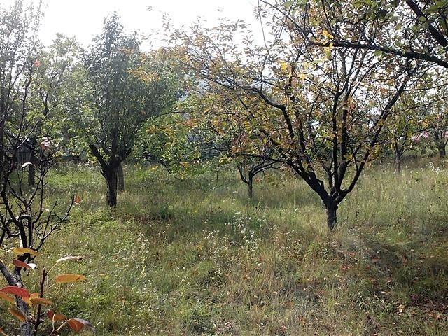 PLAC-OD-1200m2-U-M-M-LUGU