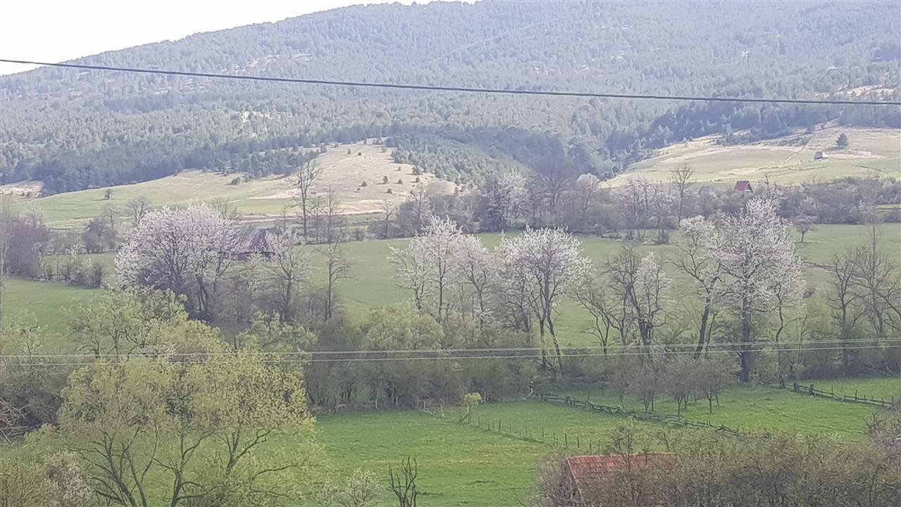 Kremna-Tara