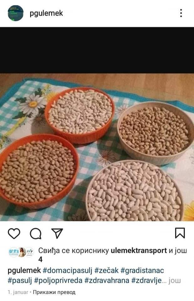 Pasulj