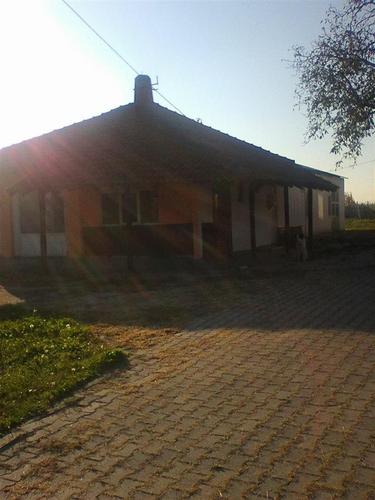 PILECA KLANICA 