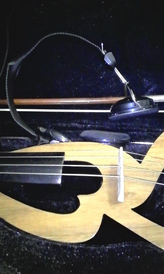 Elektricna-Viola--