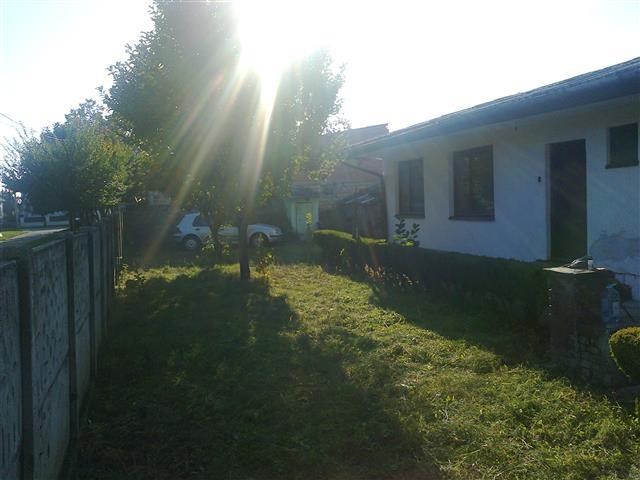 2 kuce u Veterniku